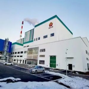 敦化市生活垃圾焚燒發(fā)電項目