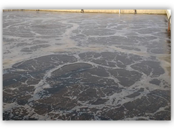 松原市污水處理廠