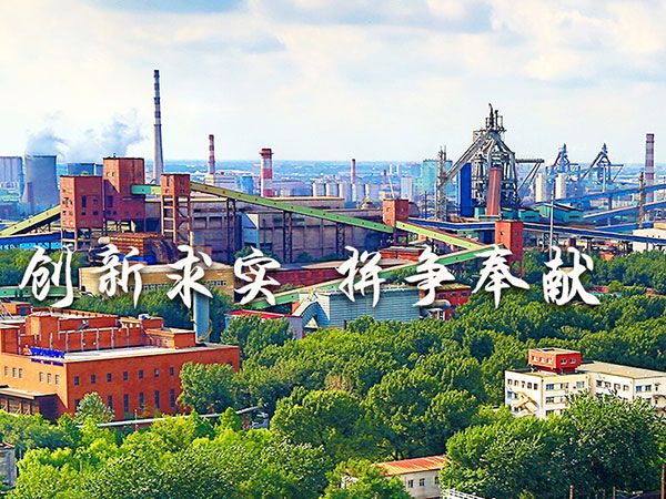 鞍山鋼鐵集團(tuán)有限公司